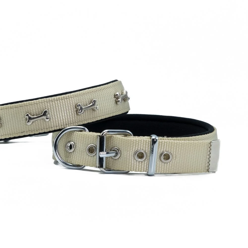 Doggie Bone Decorated Webbing Dog Collar 2.5x42-50cm