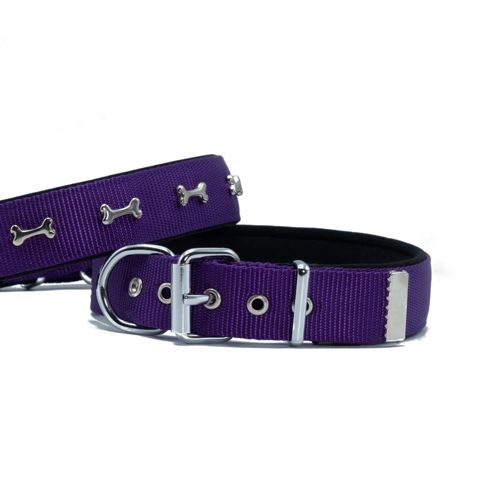 Doggie Bone Decorated Webbing Dog Collar 3x42-50cm