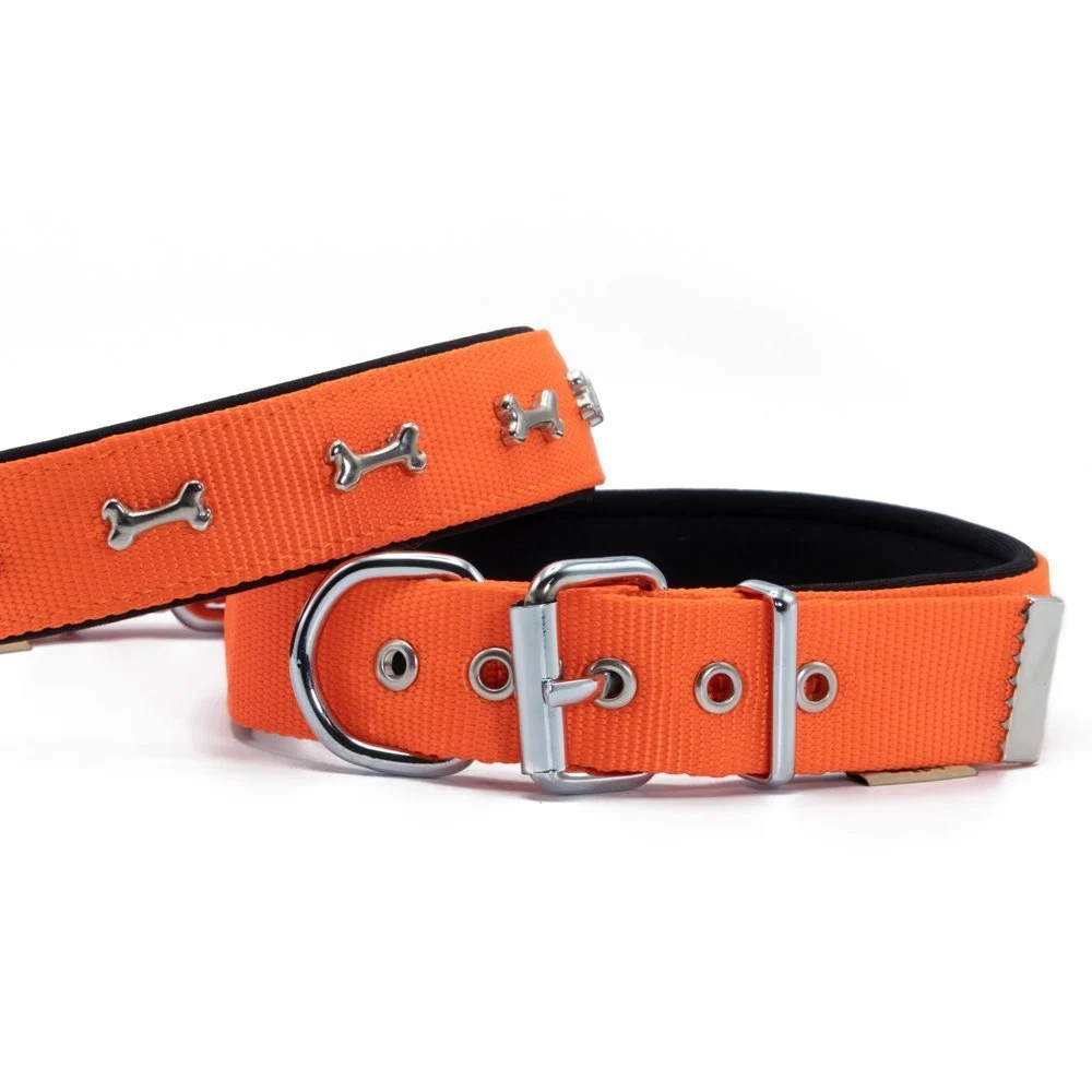 Doggie Kemik Süslü Dokuma Köpek Tasması 3x47-55cm