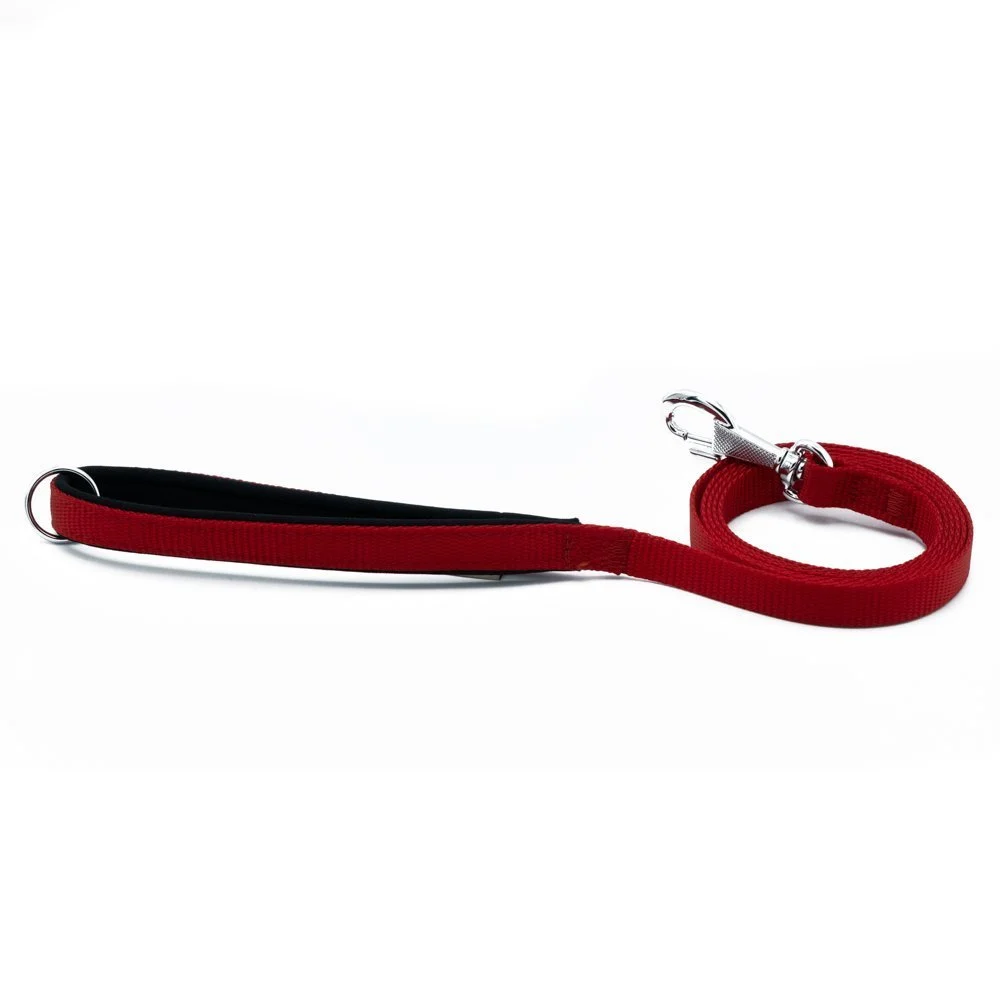 Doggie Webbing Dog Leash 1.5x160cm