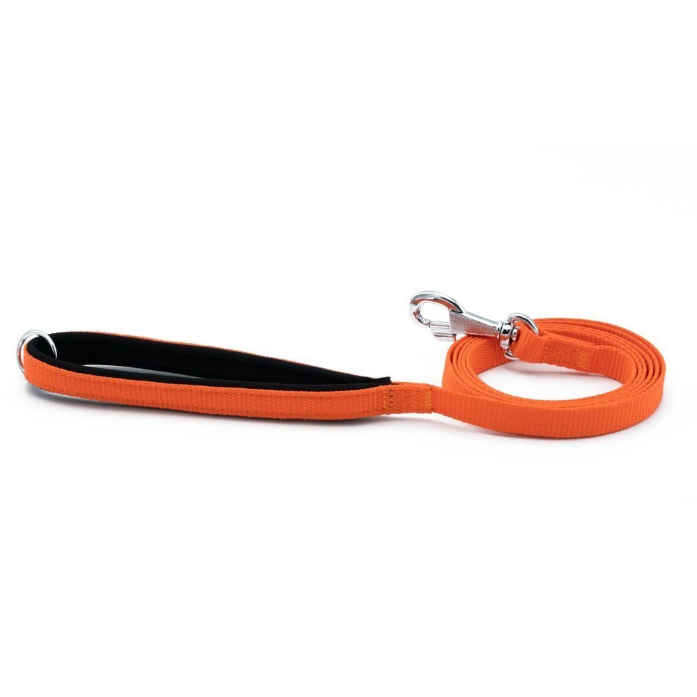 Doggie Webbing Dog Leash 1.5x160cm