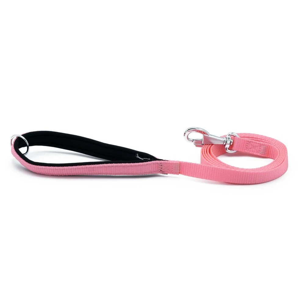 Doggie Webbing Dog Leash 1.5x160cm