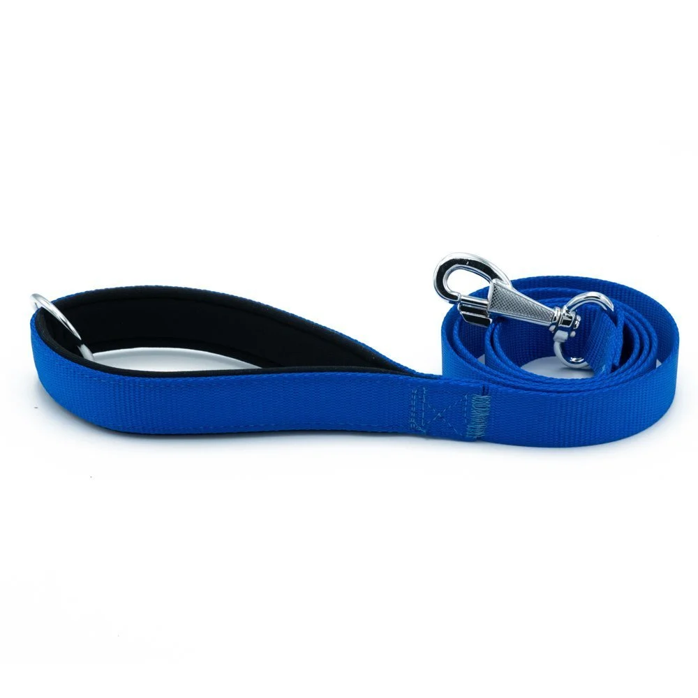 Doggie Webbing Dog Leash 2.5x120cm