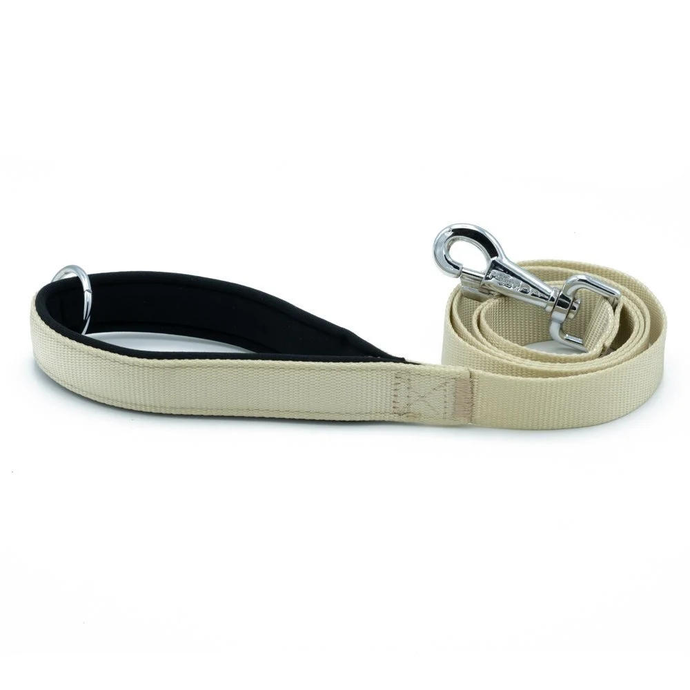 Doggie Webbing Dog Leash 2.5x120cm