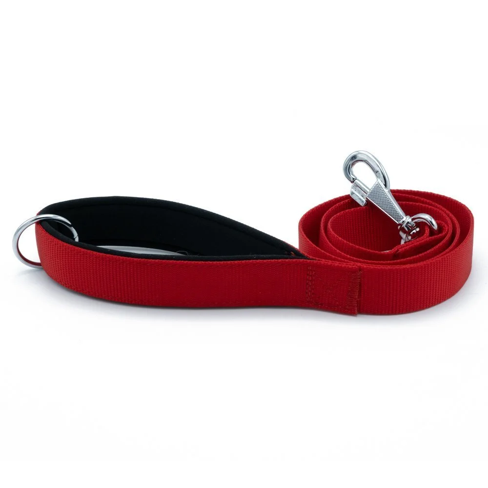 Doggie Webbing Dog Leash 3x100cm