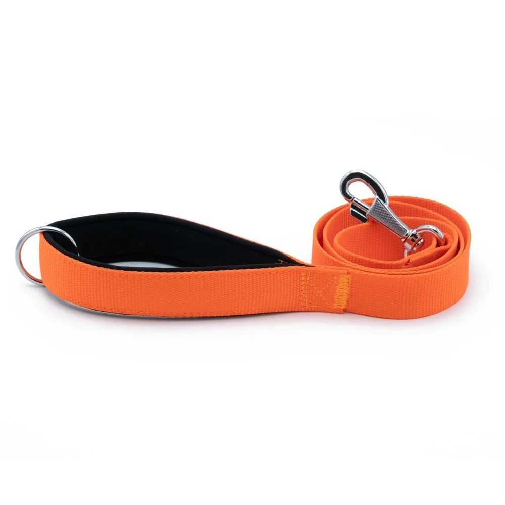Doggie Webbing Dog Leash 3x100cm