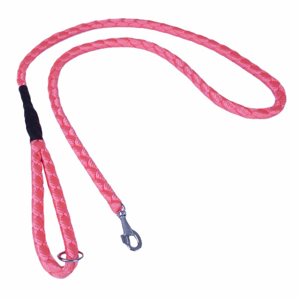 Doggie Braided Webbing Dog Leash 2x140cm