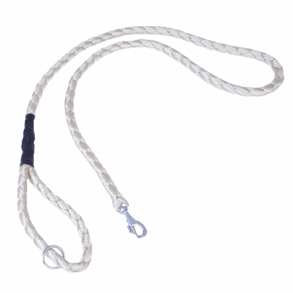 Doggie Braided Webbing Dog Leash 2x140cm
