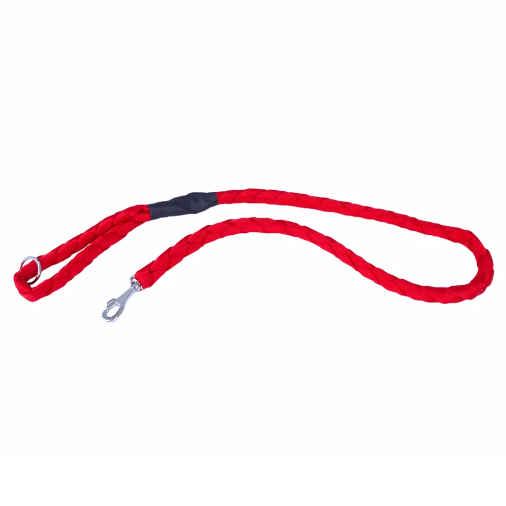 Doggie Braided Webbing Dog Leash 2.5x120cm