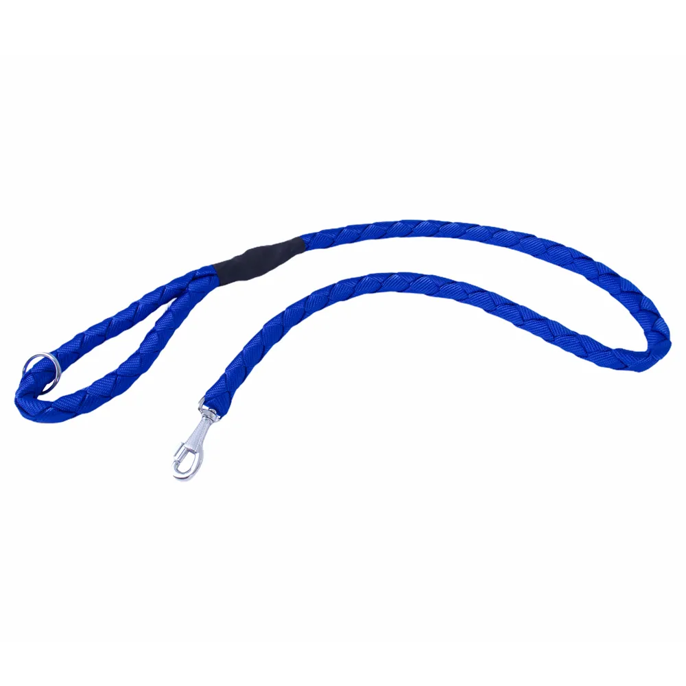 Doggie Braided Webbing Dog Leash 2.5x120cm