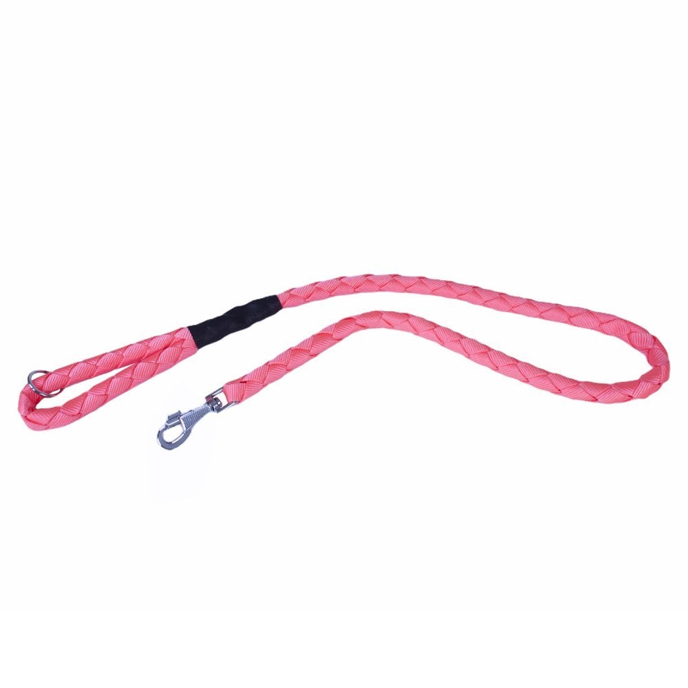 Doggie Braided Webbing Dog Leash 2.5x120cm