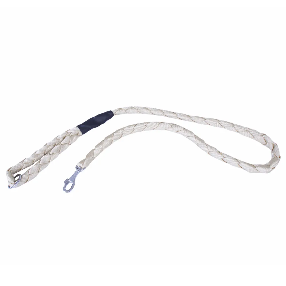 Doggie Braided Webbing Dog Leash 2.5x120cm