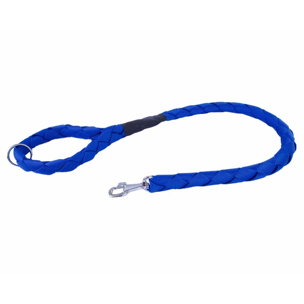 Doggie Braided Webbing Dog Leash 3x100cm