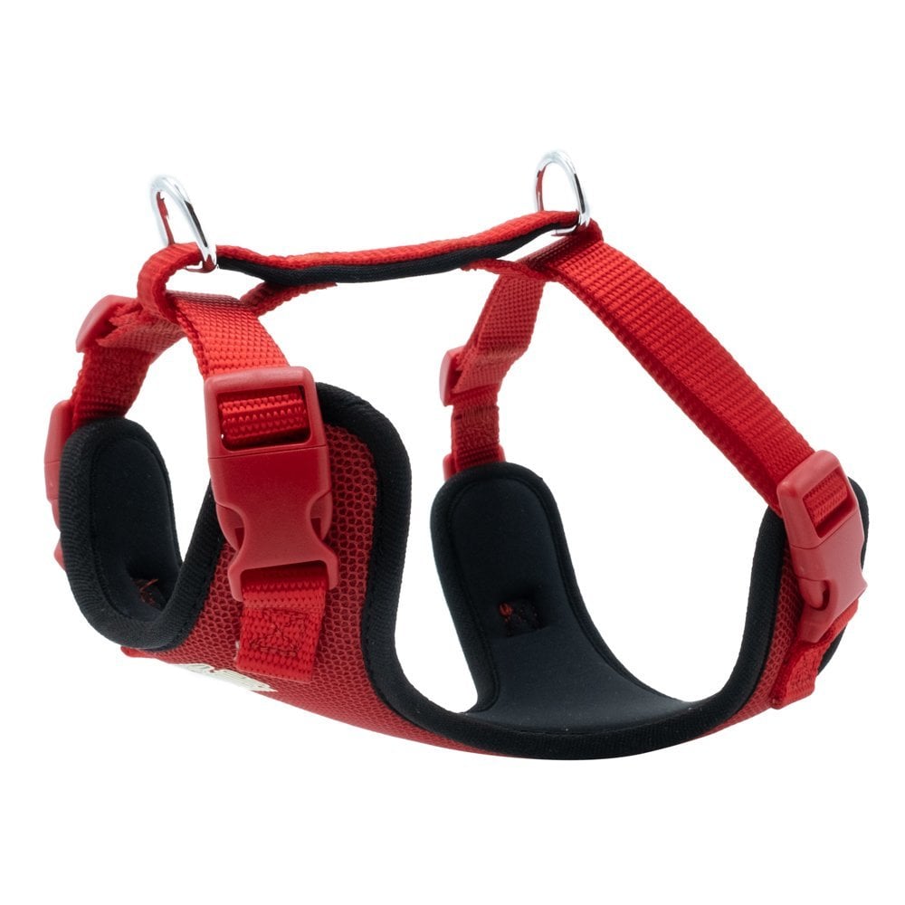 Doggie Yumuşak Dolgulu Köpek Göğüs Tasması S 40-50cm