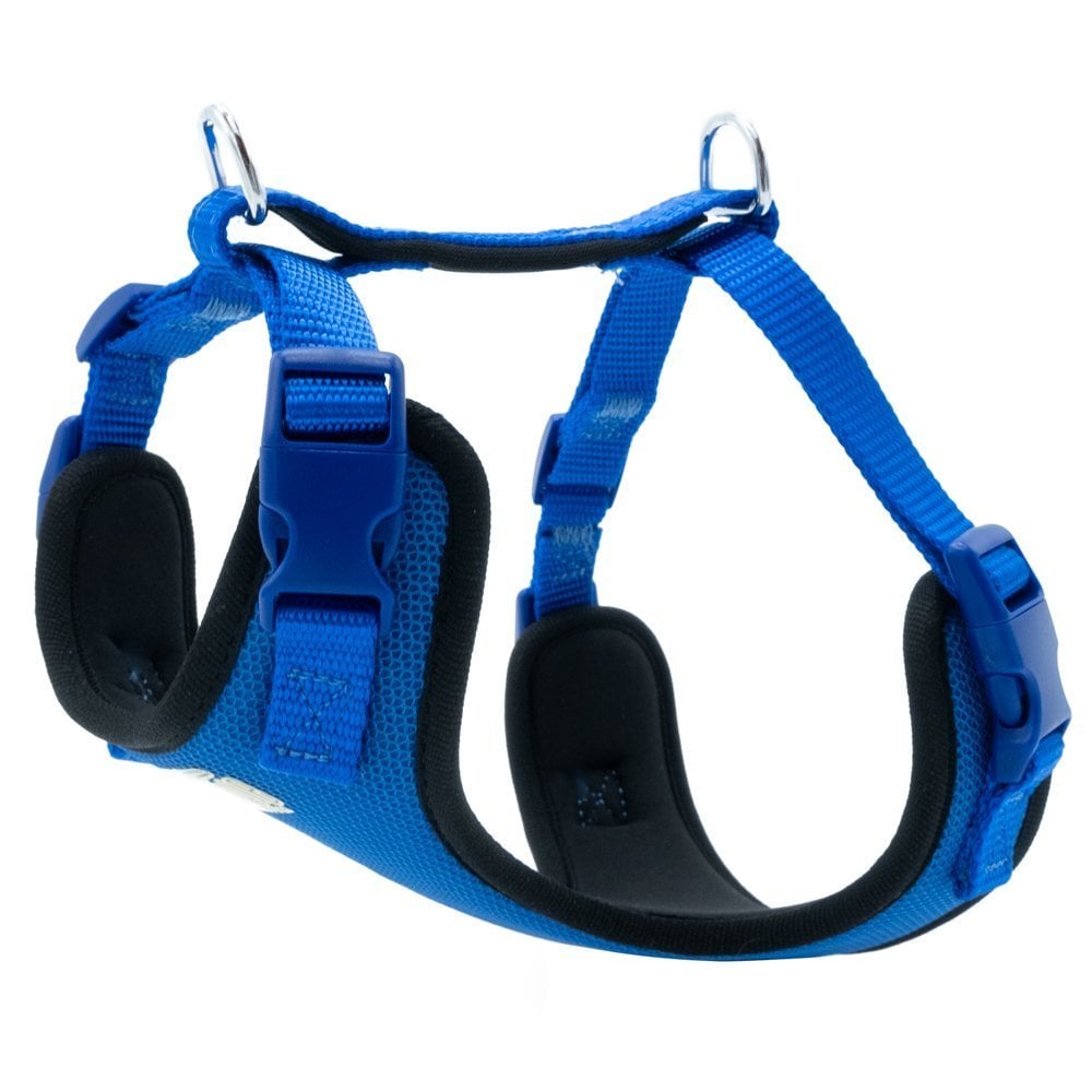 Doggie Yumuşak Dolgulu Köpek Göğüs Tasması S 40-50cm