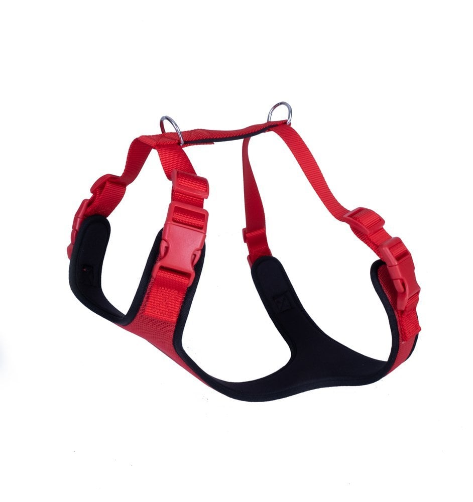 Doggie Yumuşak Dolgulu Köpek Göğüs Tasması L 55-65cm
