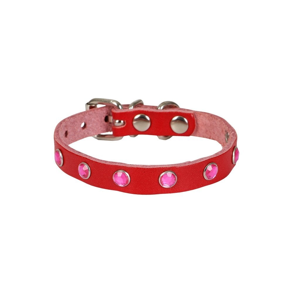 Cattie Taşlı Deri Kedi Tasması 1x18-22cm