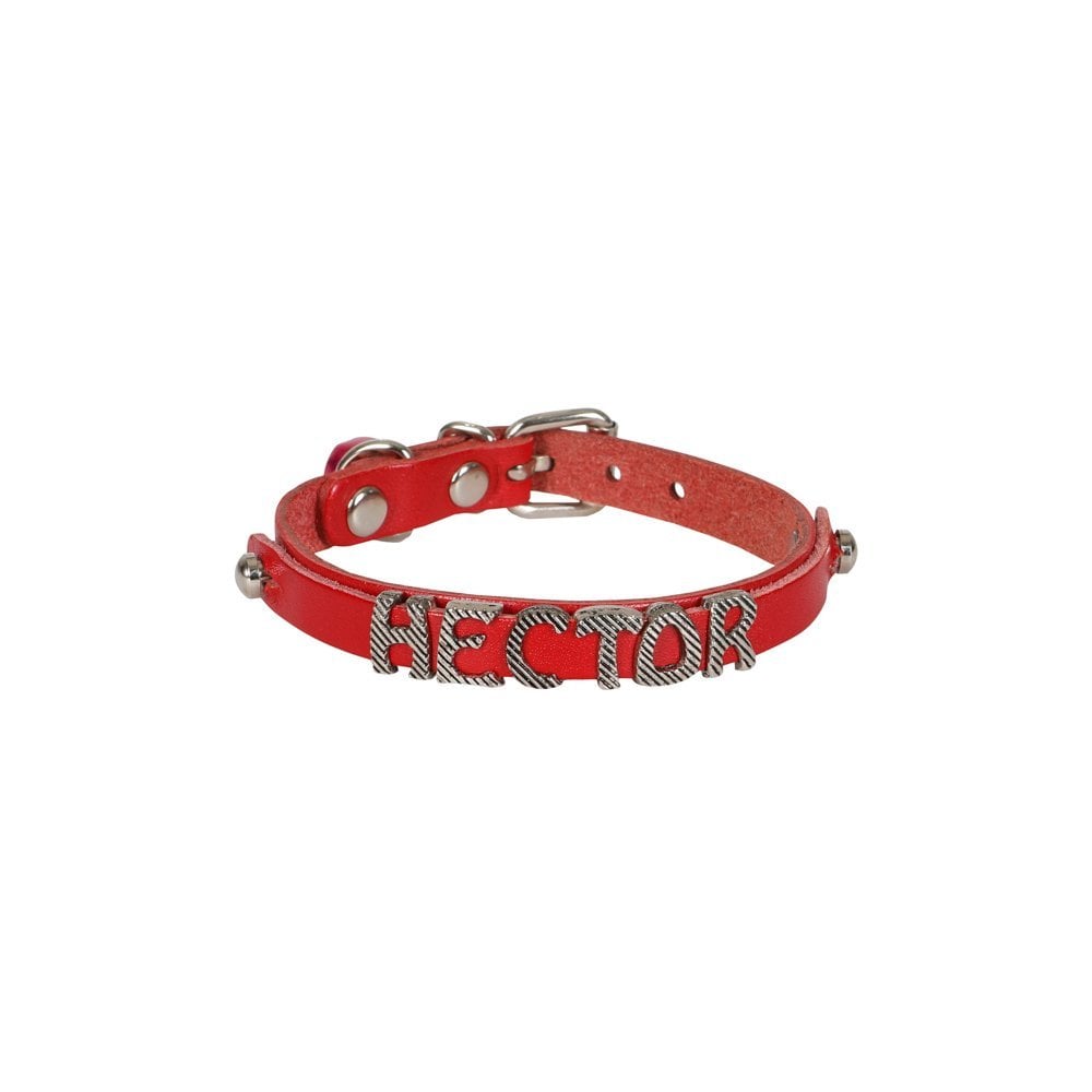 Cattie Nameplate Leather Cat Collar 1x21-25cm