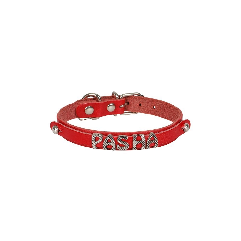 Cattie İsimlikli Deri Kedi Tasması 1.2x25-29cm