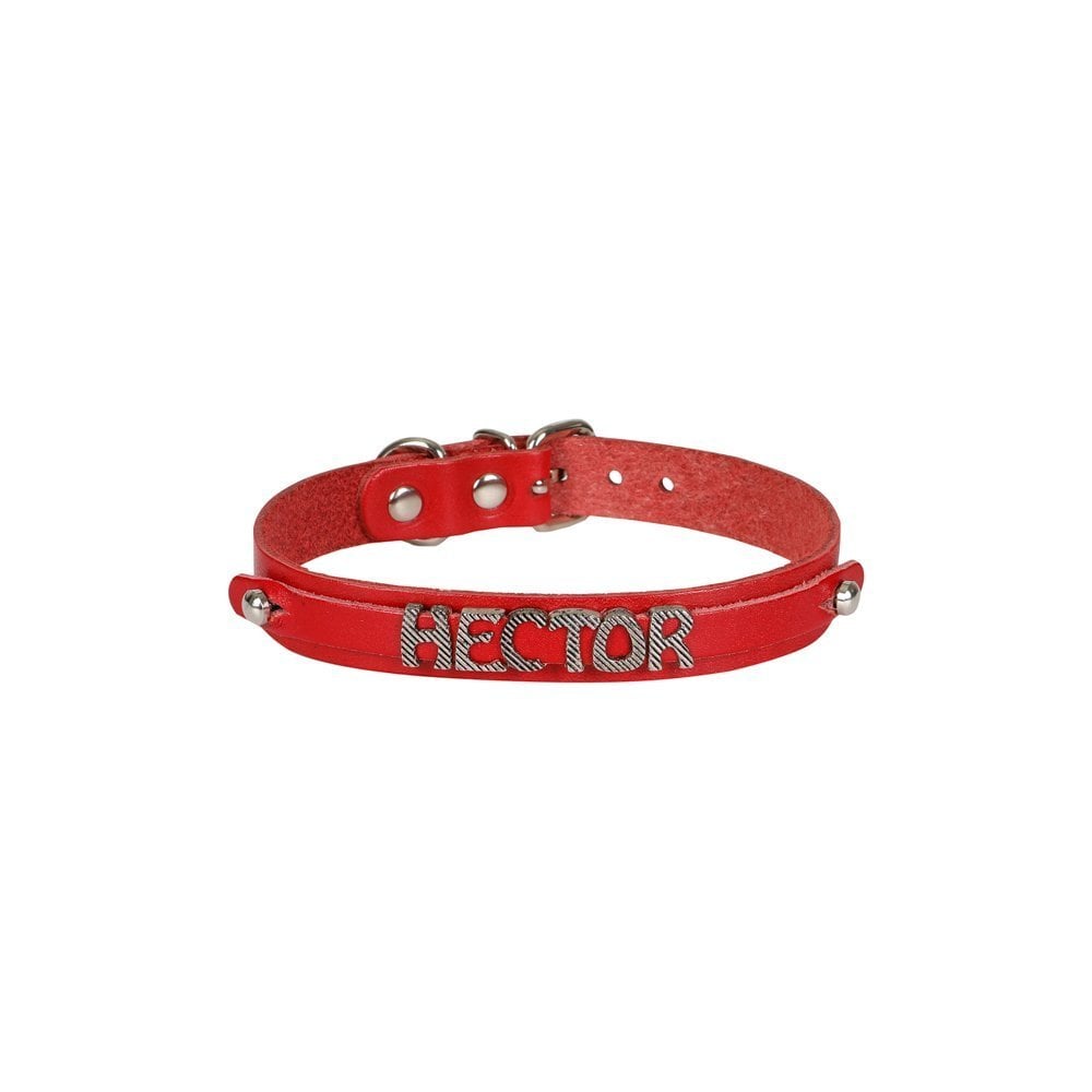 Cattie Nameplate Leather Cat Collar 1.5x28-32cm