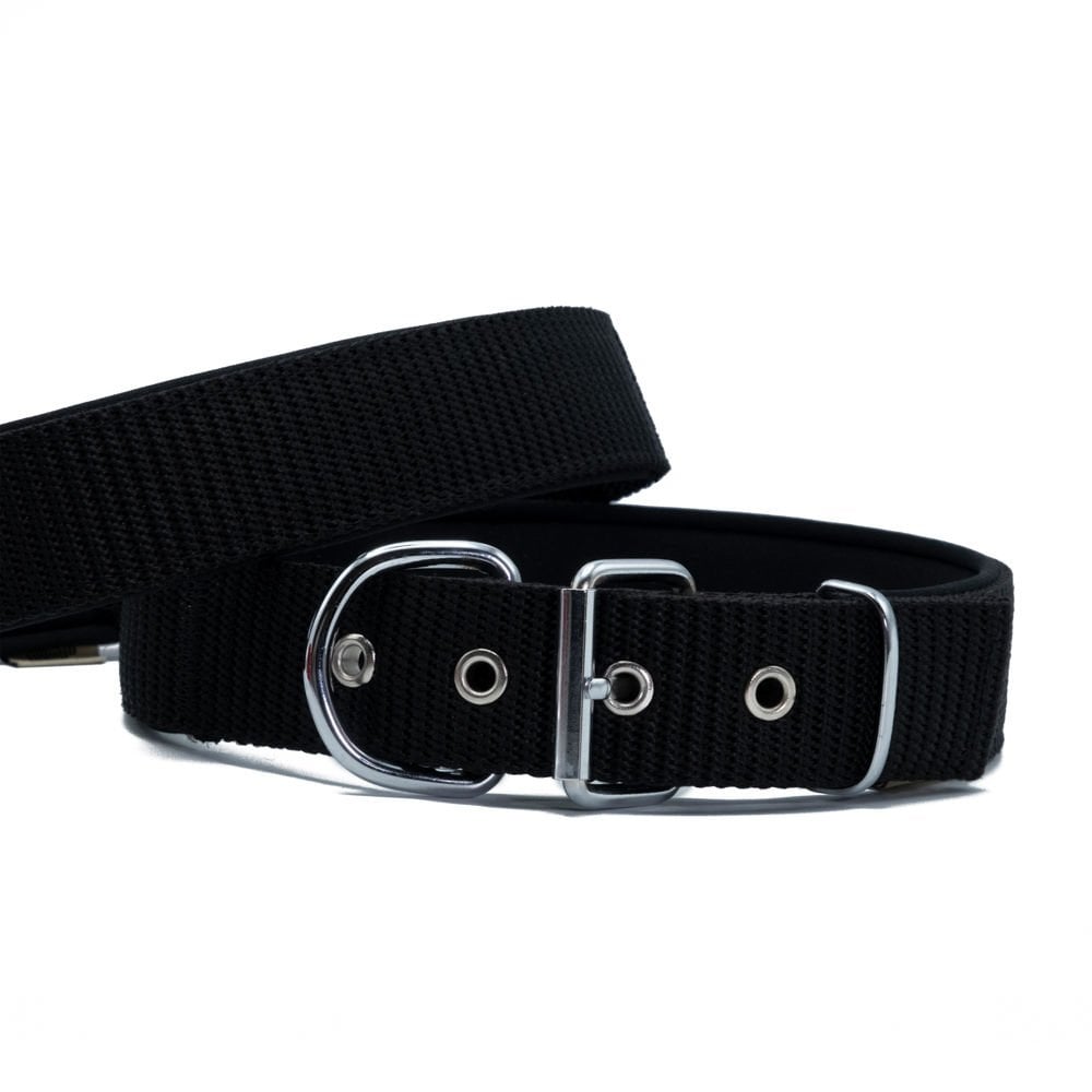 Doggie Elit Palaska Köpek Tasması 4x47-55cm